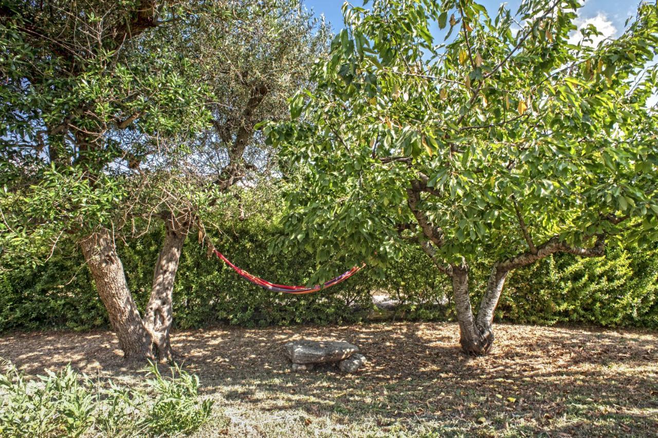 B&B Il Brigante Alberobello Eksteriør billede